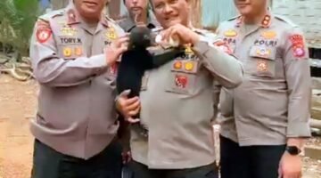 Foto: Polri selamatkan anak beruang madu di Karhutla Kalimantan Tengah, Jumat (23/10/2026). (Istimewa)